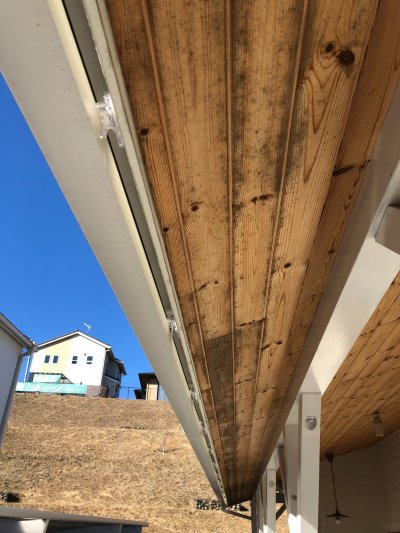 カビ取り、カビ防止塗装 | 日々のブログ