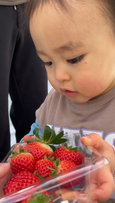内田農園さんにて | 日々のブログ